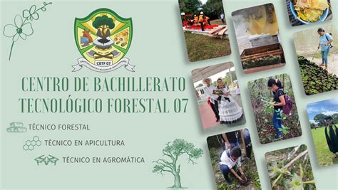 Centro de Bachillerato Tecnológico Forestal No. 7 .
